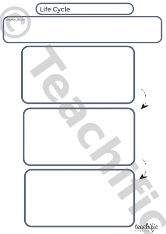 Preview image for Writing Templates: Life Cycle 3 Stages