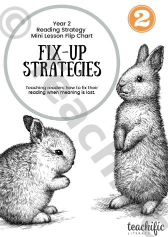 Preview image for Fix-Up Strategies Flip Chart - Year 2