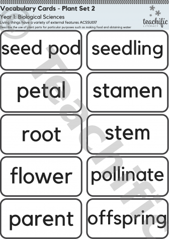 Preview image for Science Vocabulary Cards: Yr 1 Biological Sciences - Plant Set 2