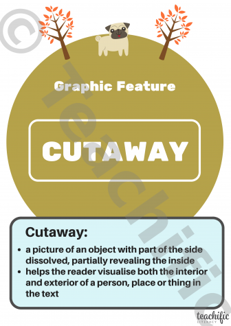 Preview image for Non Fiction Poster: Graphic Feature, Yrs 3-6 - Cutaway