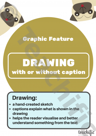 Preview image for Non Fiction Poster: Graphic Feature, Yrs 3-6 - Drawing