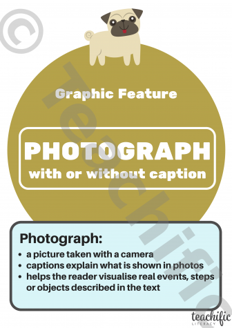 Preview image for Non Fiction Poster: Graphic Feature, Yrs 3-6 - Photograph
