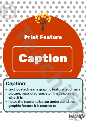Preview image for Non Fiction Poster: Print Feature, Yrs 3-6 - Caption
