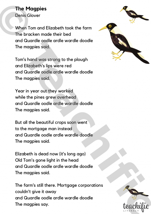 poem-the-magpies-denis-glover-yrs-5-teachific